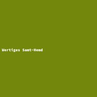 Wertiges Samt-Hemd